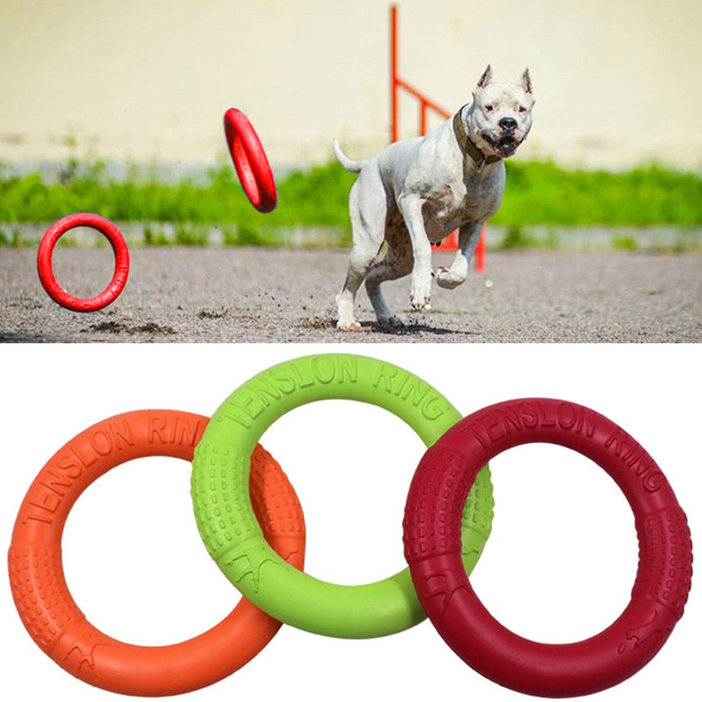 Rubber Flying Disc Dog Toy - Interactive Fetch