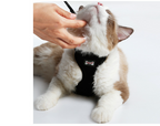 Secure Cat Harness
