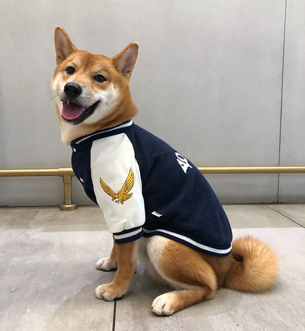 Varsity Cotton Sweater Vest for Dogs
