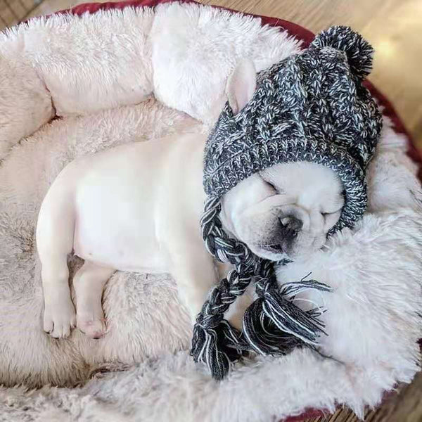 Knit Pet Hat for Cats & Dogs