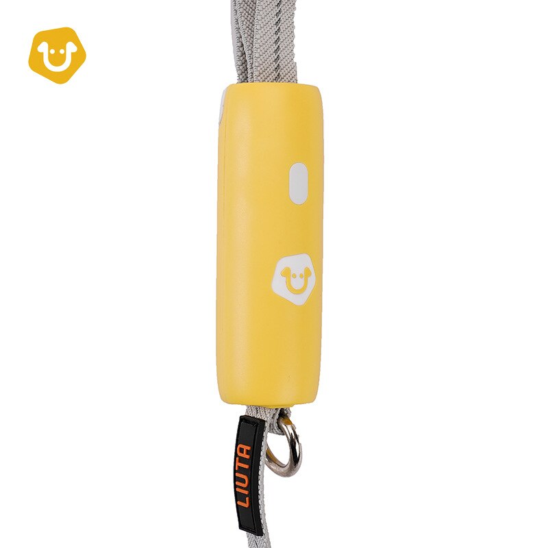 Reflective Elastic Dog Leash for Walking