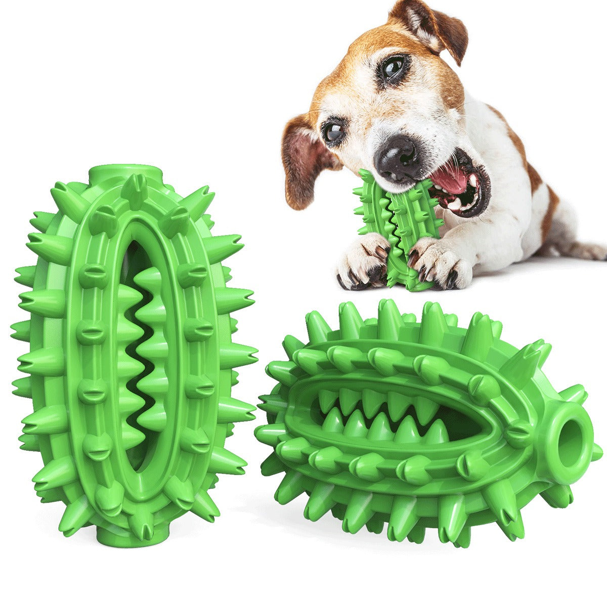 Molar Dental Chew Toy for Dogs