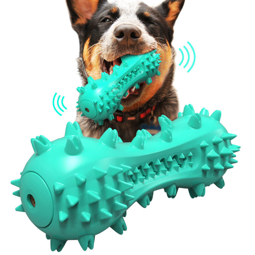 Molar Dental Chew Toy for Dogs