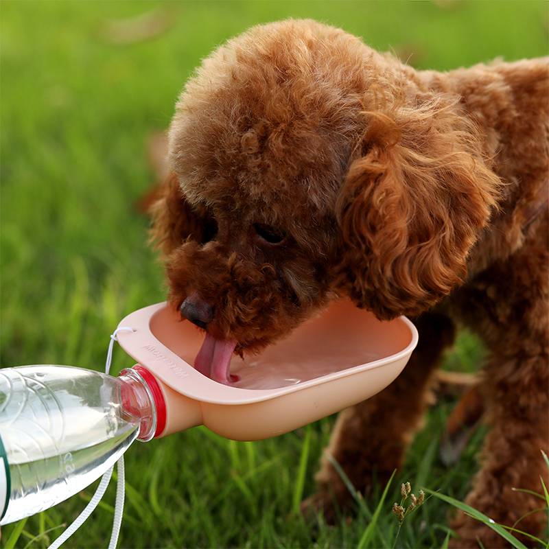 Portable Squeeze Water Bottle Attachment for Pets