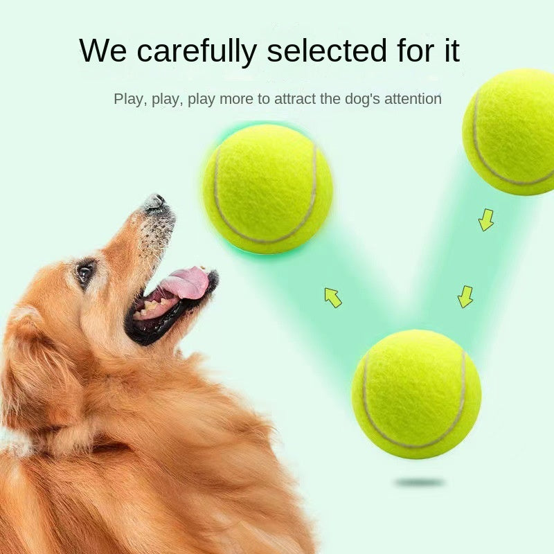 Rubber Tennis Ball Dog Toy