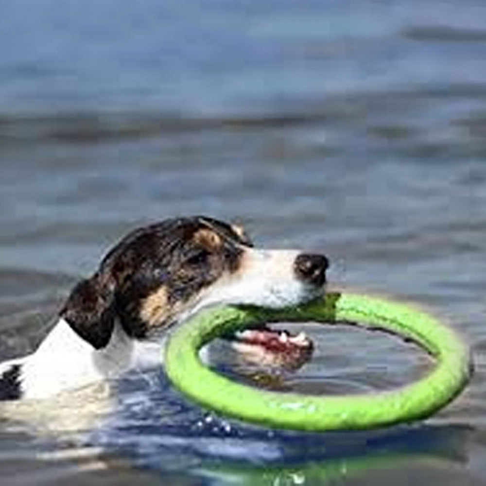 Rubber Flying Disc Dog Toy - Interactive Fetch