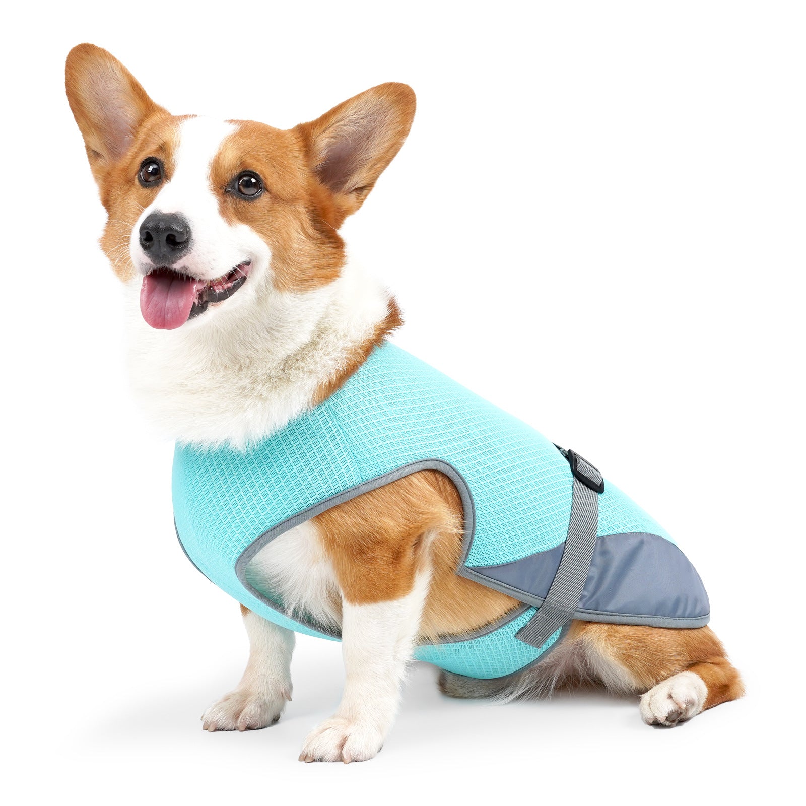 Cooling Vest for Dogs