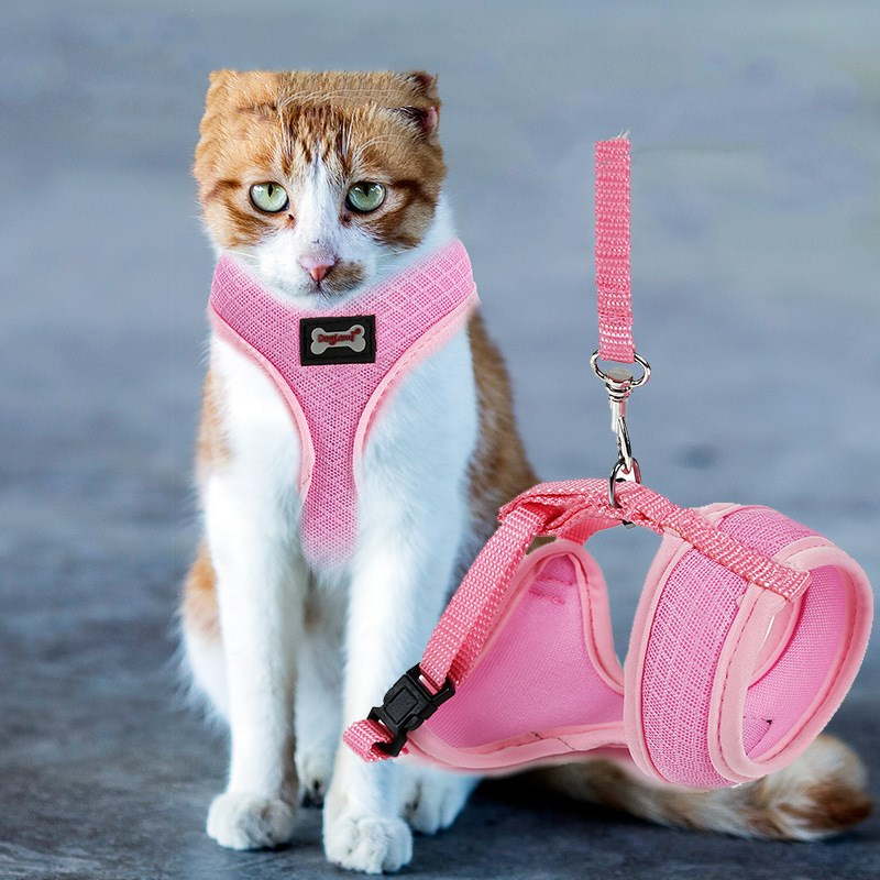 Secure Cat Harness