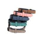 Eco-Flex Dog Collar & Leash Kit