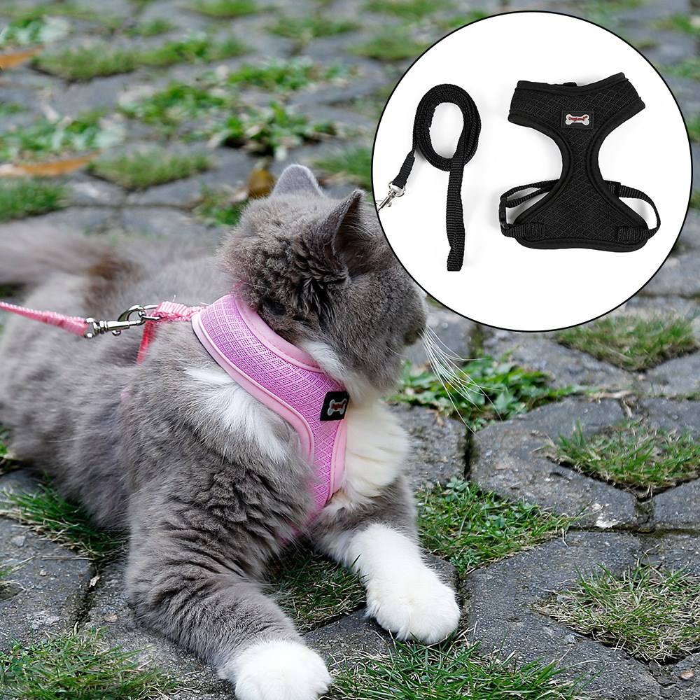 Secure Cat Harness