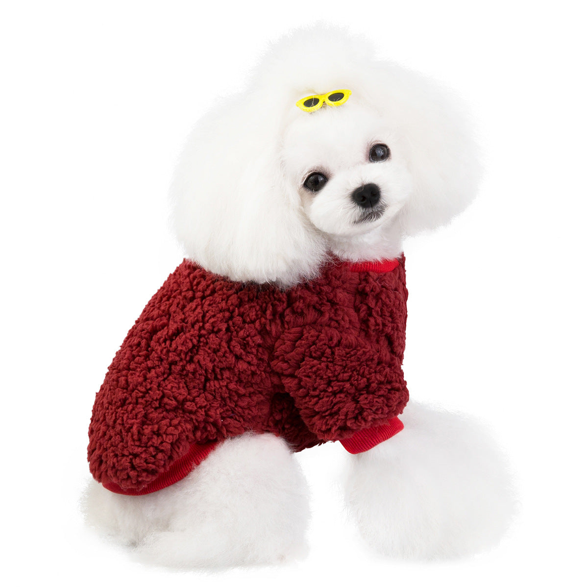 Pet clothes cat and dog clothes