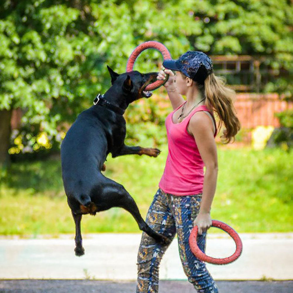 Rubber Flying Disc Dog Toy - Interactive Fetch