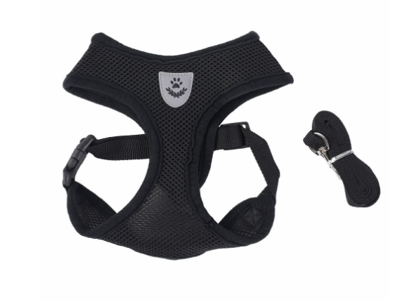 Secure Cat Harness