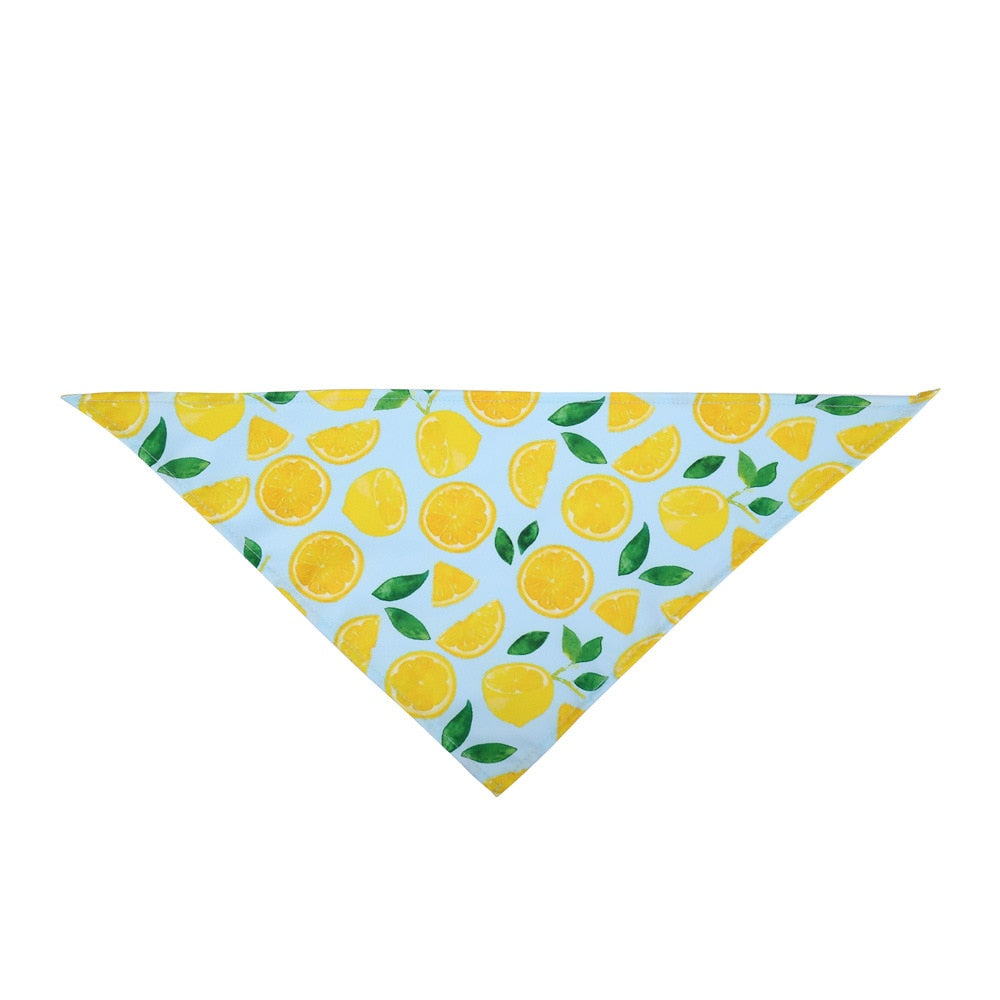 Fruit Print Cotton Dog Bandana