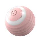 PlayPal Smart Fetch Ball