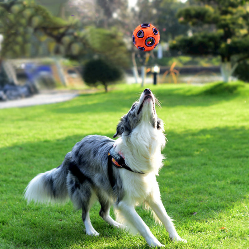 Interactive Rubber Chew Ball for Dogs