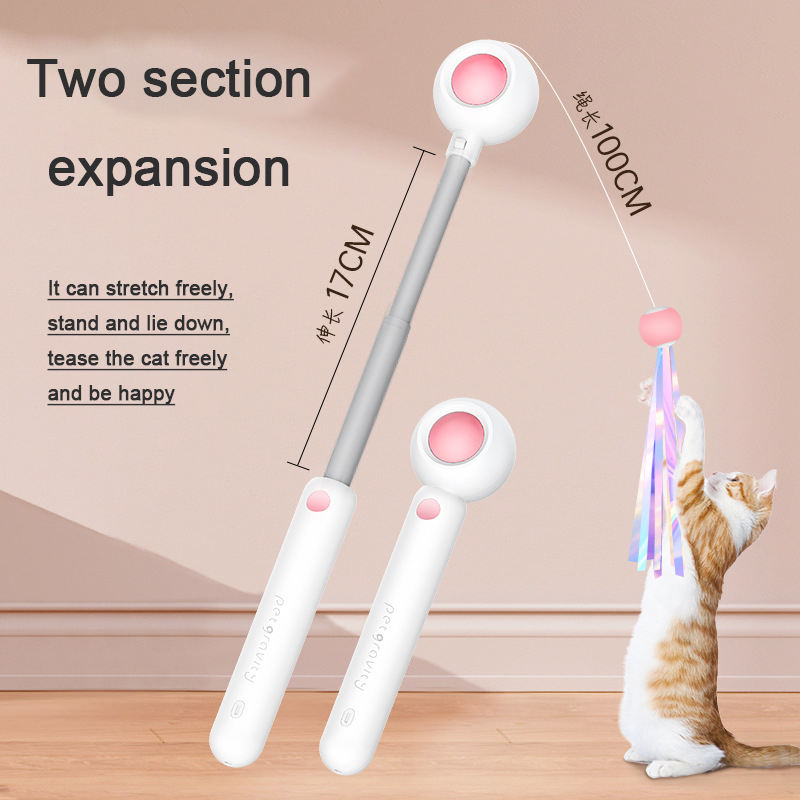 Interactive Cat Laser Toy with Replaceable Feather Wand