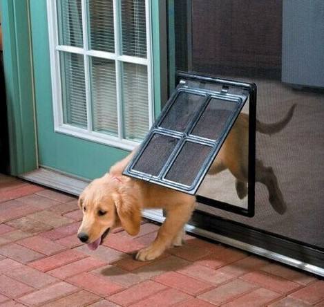 Pet Screen Door – Mosquito-Free Cat &amp; Dog Door
