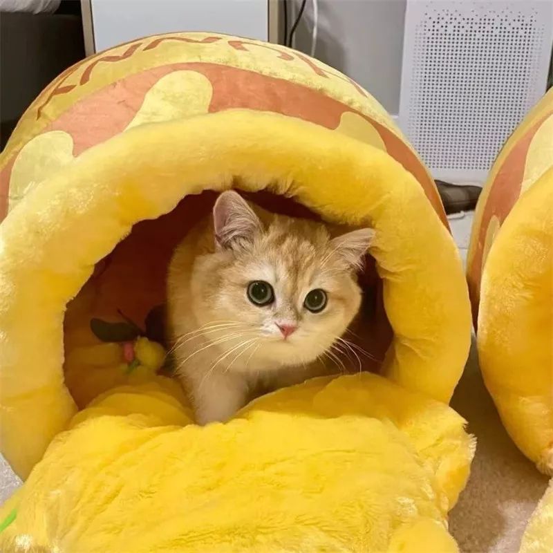 Honey Jar Style Winter Pet Bed