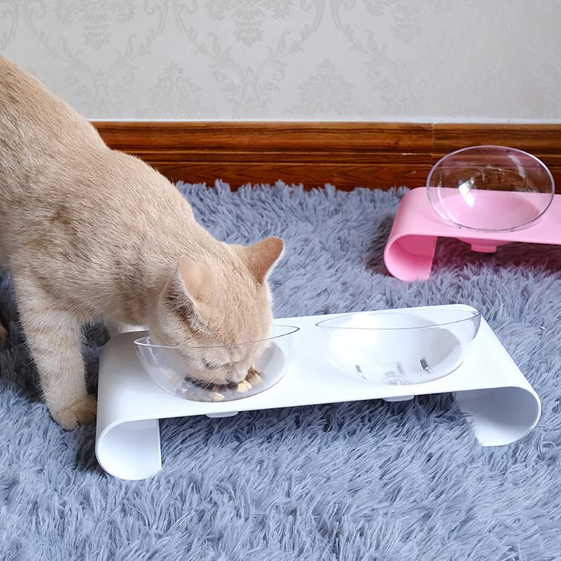 Tilted Cat Food Bowl - Neck-Protecting Design