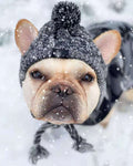 Pet Cat Hat Fighting Bago Big Dog Cat Dog