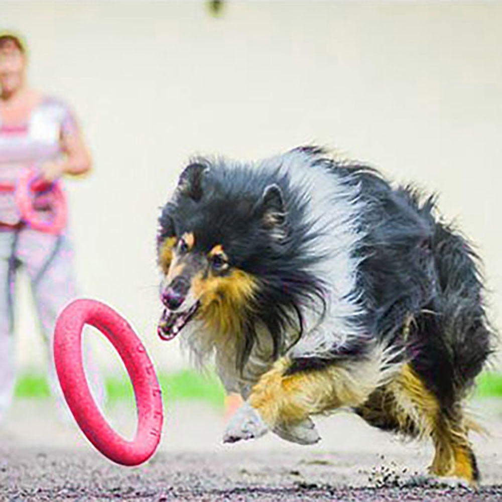 Rubber Flying Disc Dog Toy - Interactive Fetch