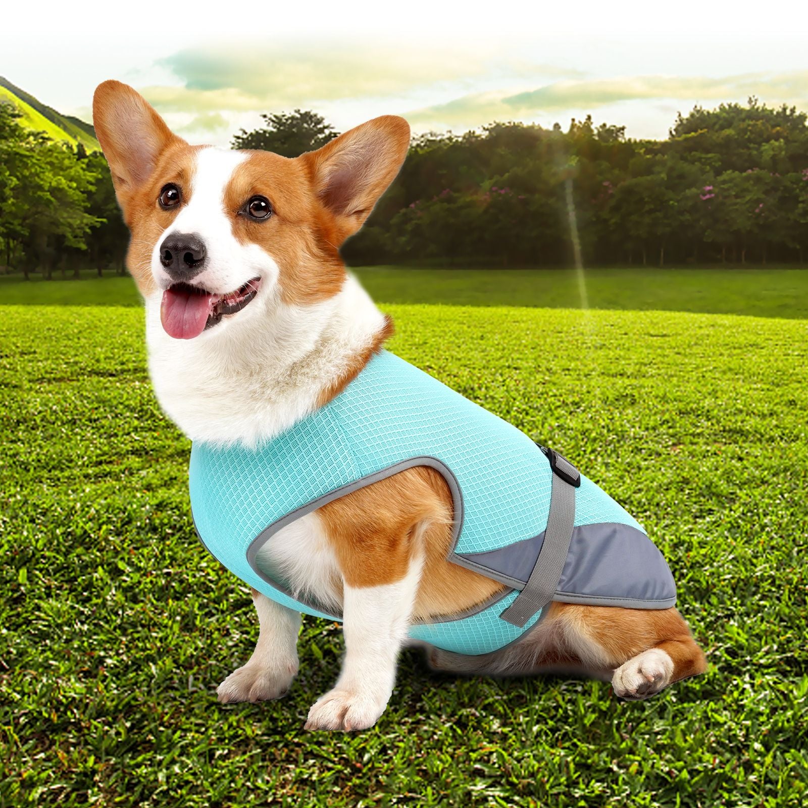 Cooling Vest for Dogs