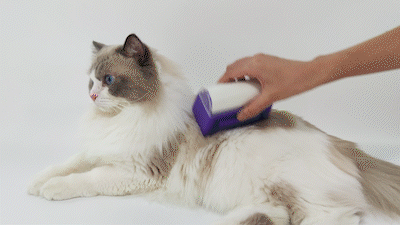 Self-Cleaning Automatic Hair Removal Comb