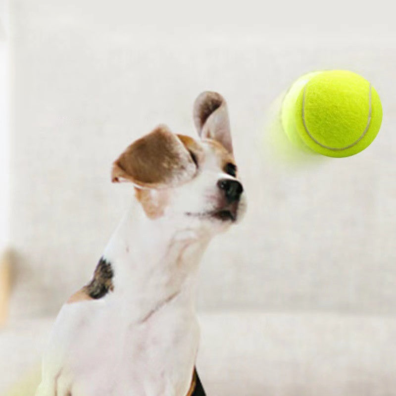 Rubber Tennis Ball Dog Toy