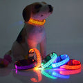 Glow-in-the-Dark Dog Collar - Adjustable LED