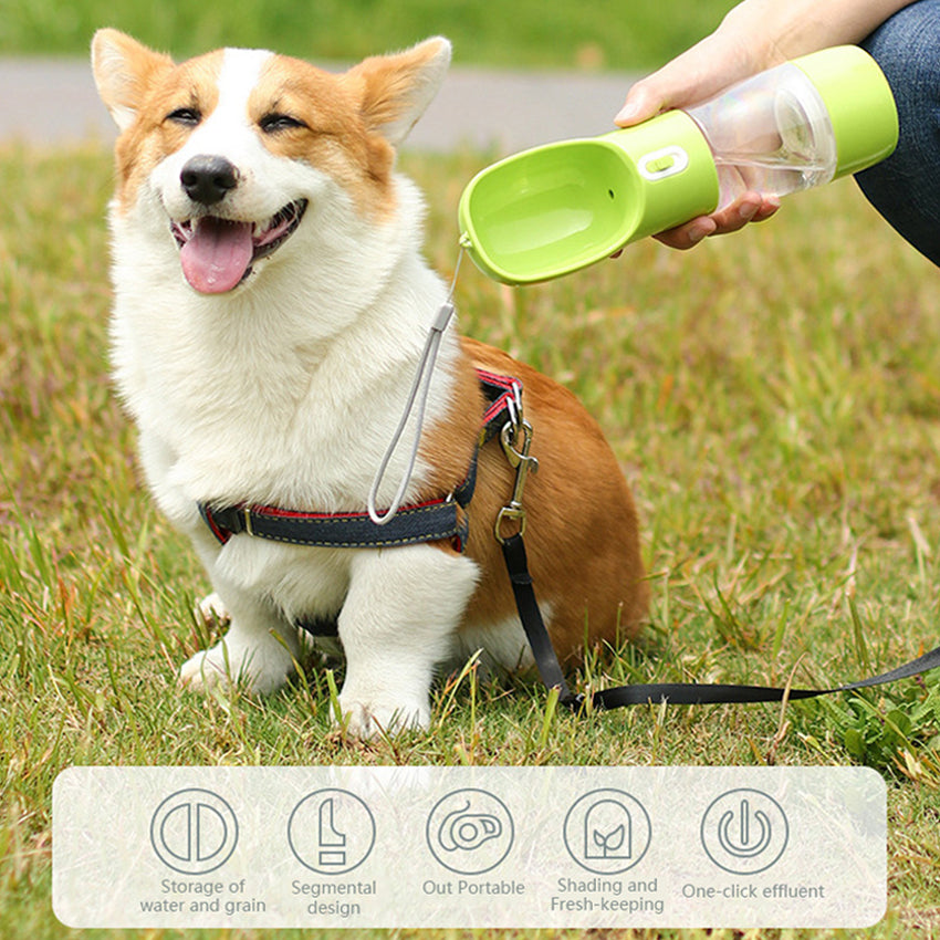 Portable Pet Water Bottle with Bowl - Travel Feeder