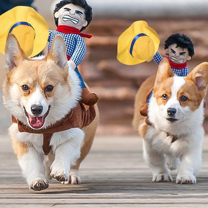 Cowboy Cosplay Costume for Dogs - Halloween Outfit