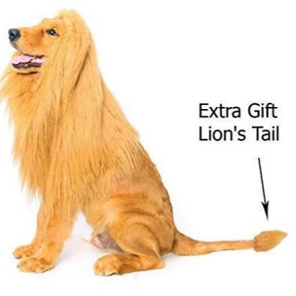 Lion Mane Wig Costume for Dogs