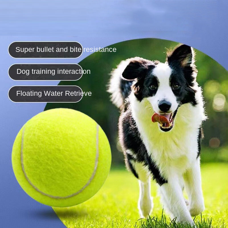 Rubber Tennis Ball Dog Toy