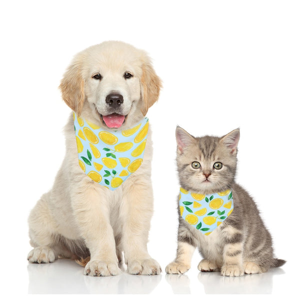 Fruit Print Cotton Dog Bandana