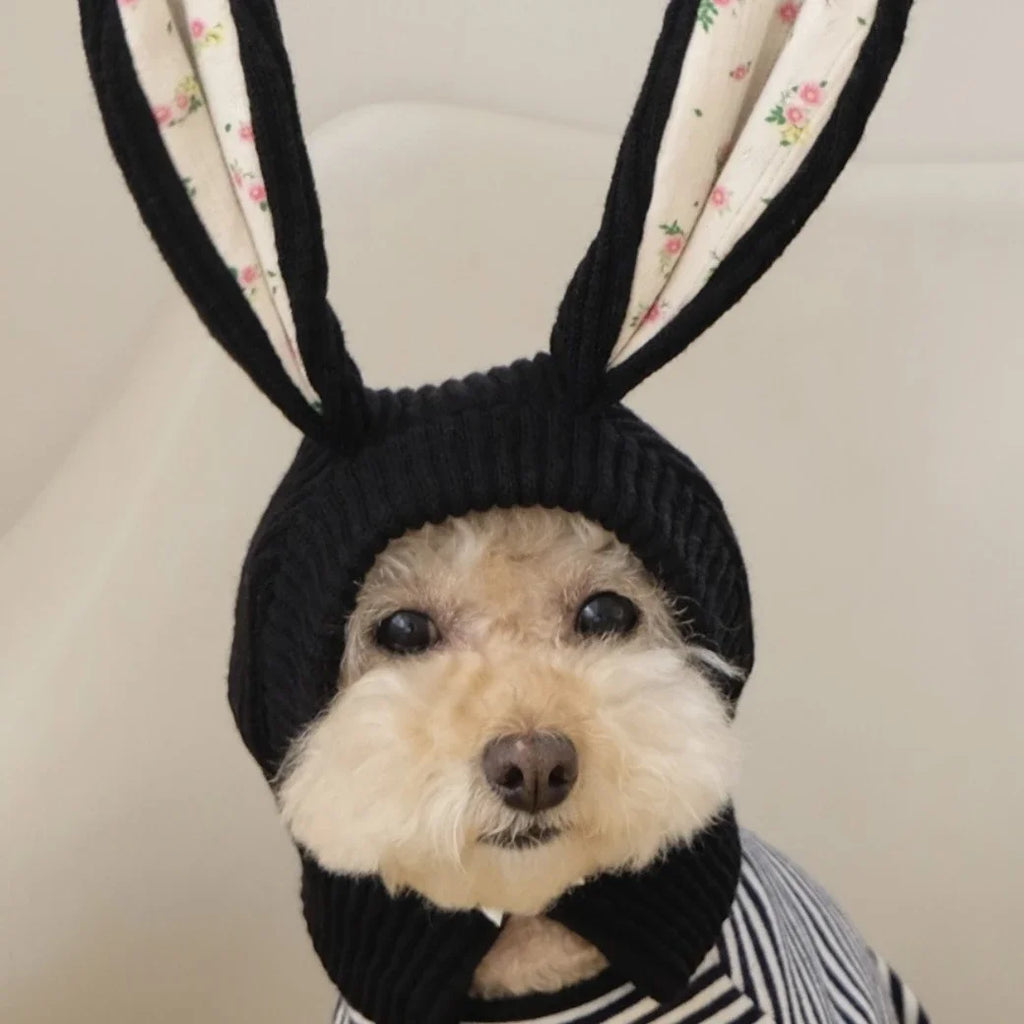 Cute Rabbit Ears Knitted Pet Hat for Autumn & Winter