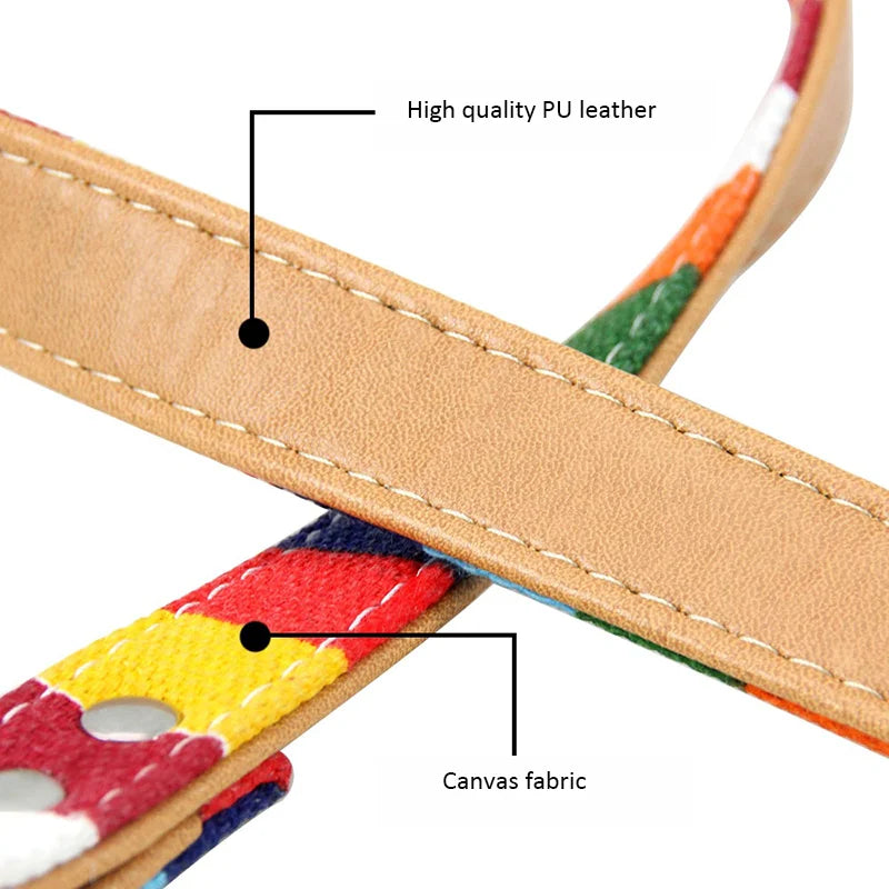 PU Leather Rainbow Collar & Canvas Leash Set