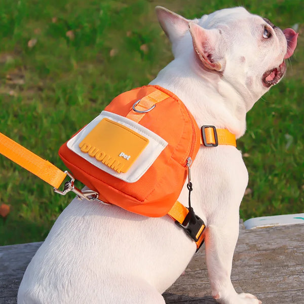 Dog Backpack Harness & Leash Set with Snack Pouch
