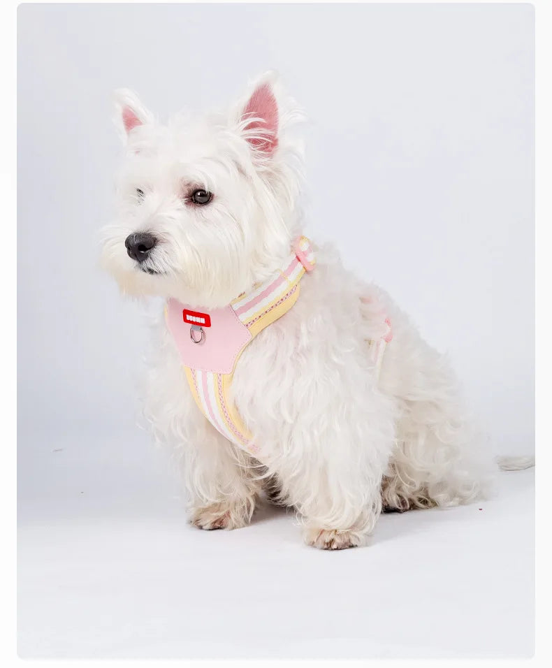 Dopamine Color Dog Harness & Leash Set for Outdoor Walks