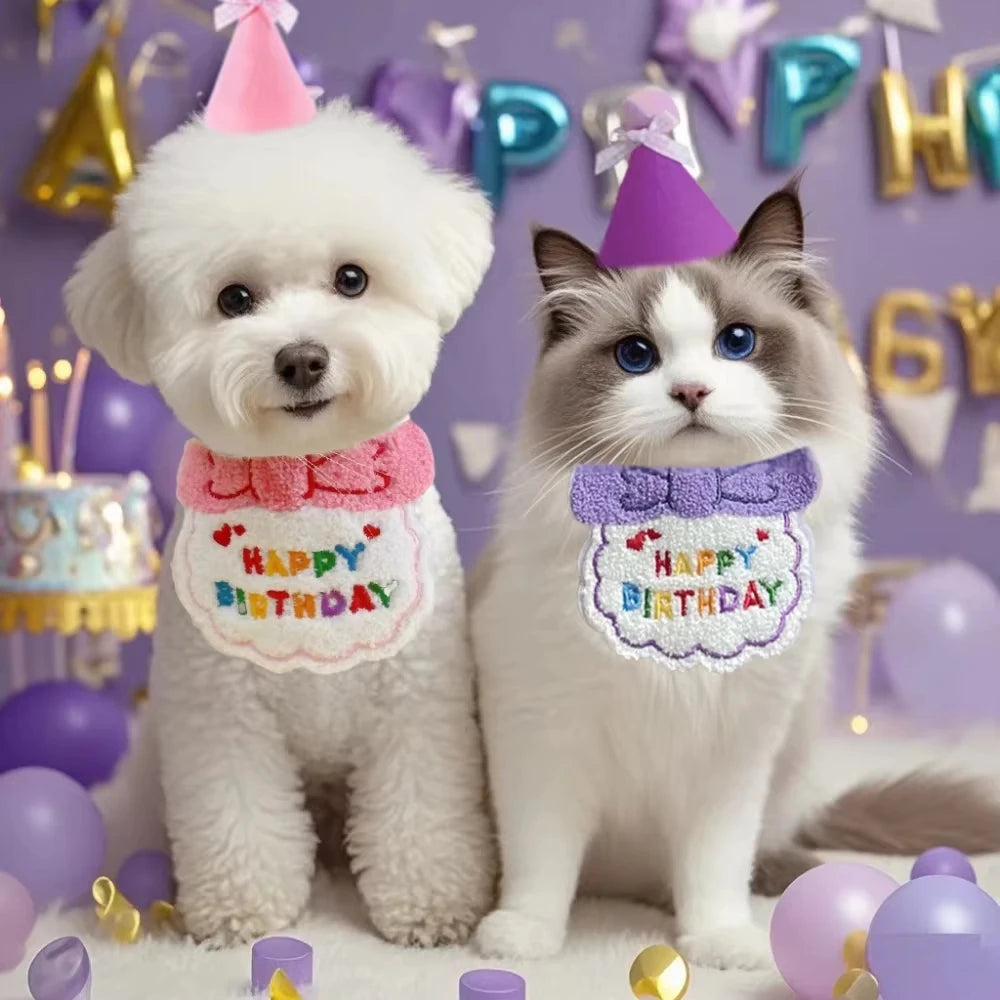Pet Birthday Party Hat & Bib Set