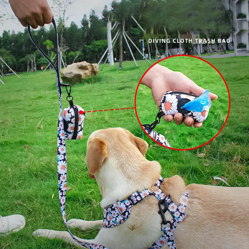 Complete Dog Collar, Leash & Bandana Set with Poop Bag Holder