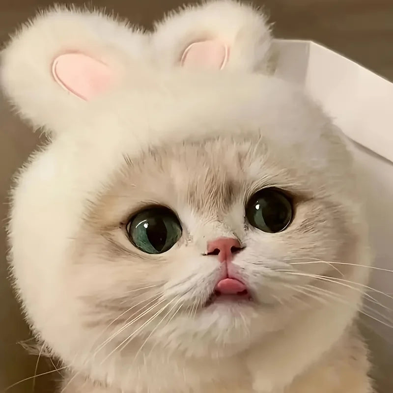 Rabbit Ear Cat Hat for Costume Photos