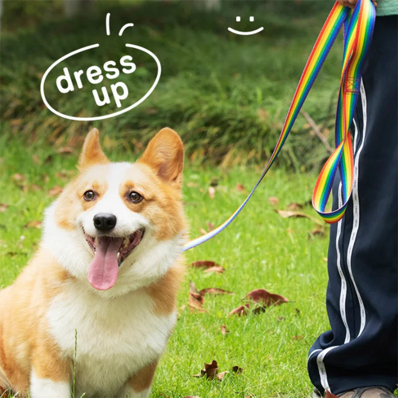 Rainbow Adjustable Dog Collar & Leash Set
