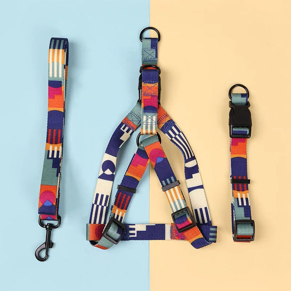 Abstract Patchwork Dog Harness, Collar & Leash Set