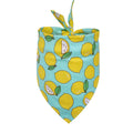 Cotton Triangle Bandana for Dogs & Cats