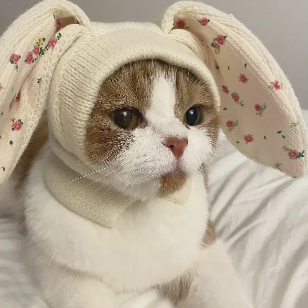 Cute Rabbit Ears Knitted Pet Hat for Autumn & Winter