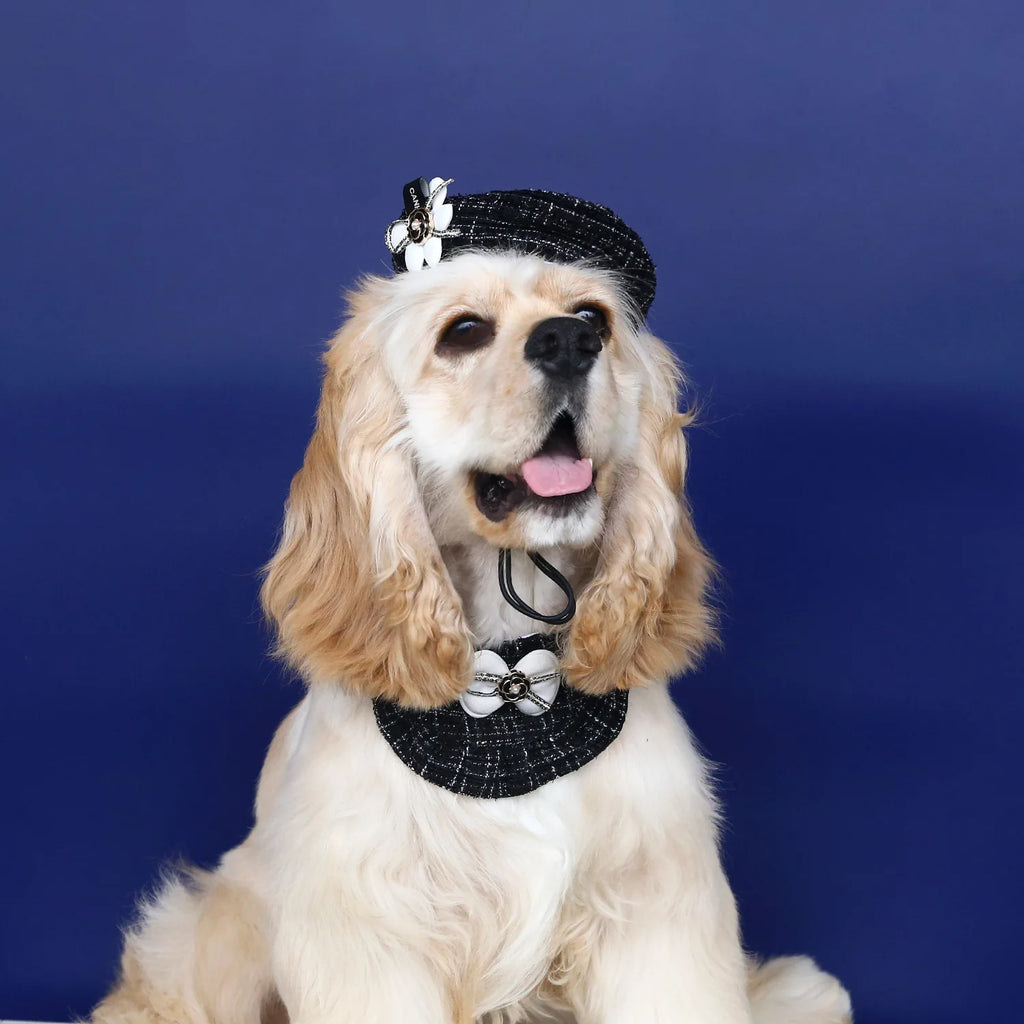 Knitted Woolen Flower Hat & Bow Bib Pet Accessory Set