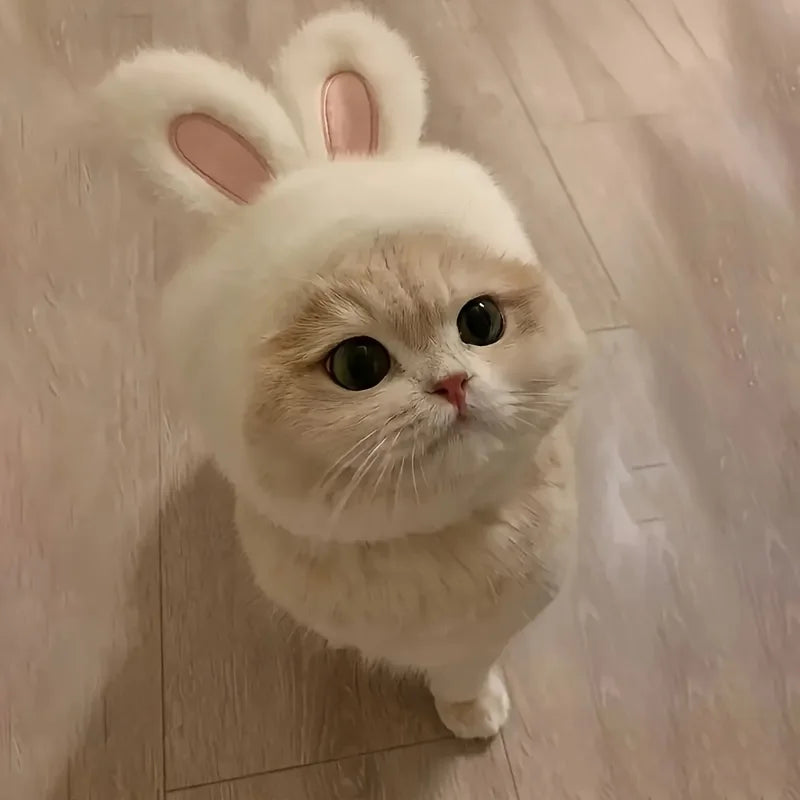 Rabbit Ear Cat Hat for Costume Photos