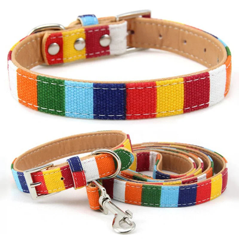 PU Leather Rainbow Collar & Canvas Leash Set