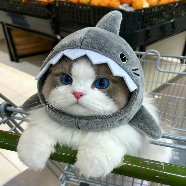 Shark Bite Cat Hat – Adjustable Plush Costume Headwear